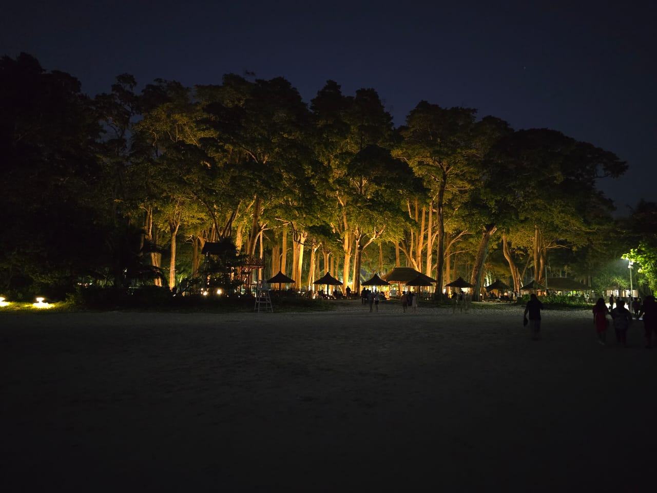 Explore Radhanagar Beach at Sunset