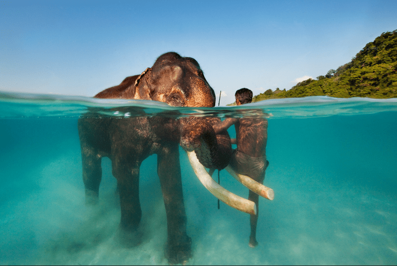 Elephant Beach – Havelock Island