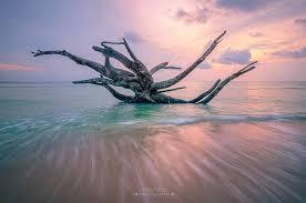 Havelock Island (Swaraj Dweep)