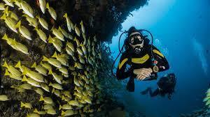 Scuba Diving