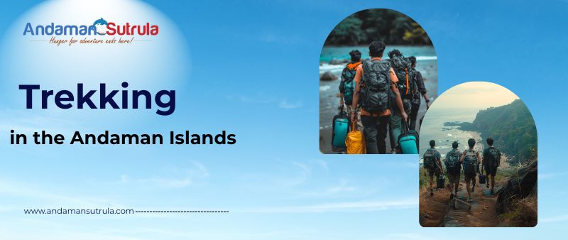 Complete Guide to Trekking in Andaman and Nicobar Islands