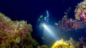 Night Scuba Diving